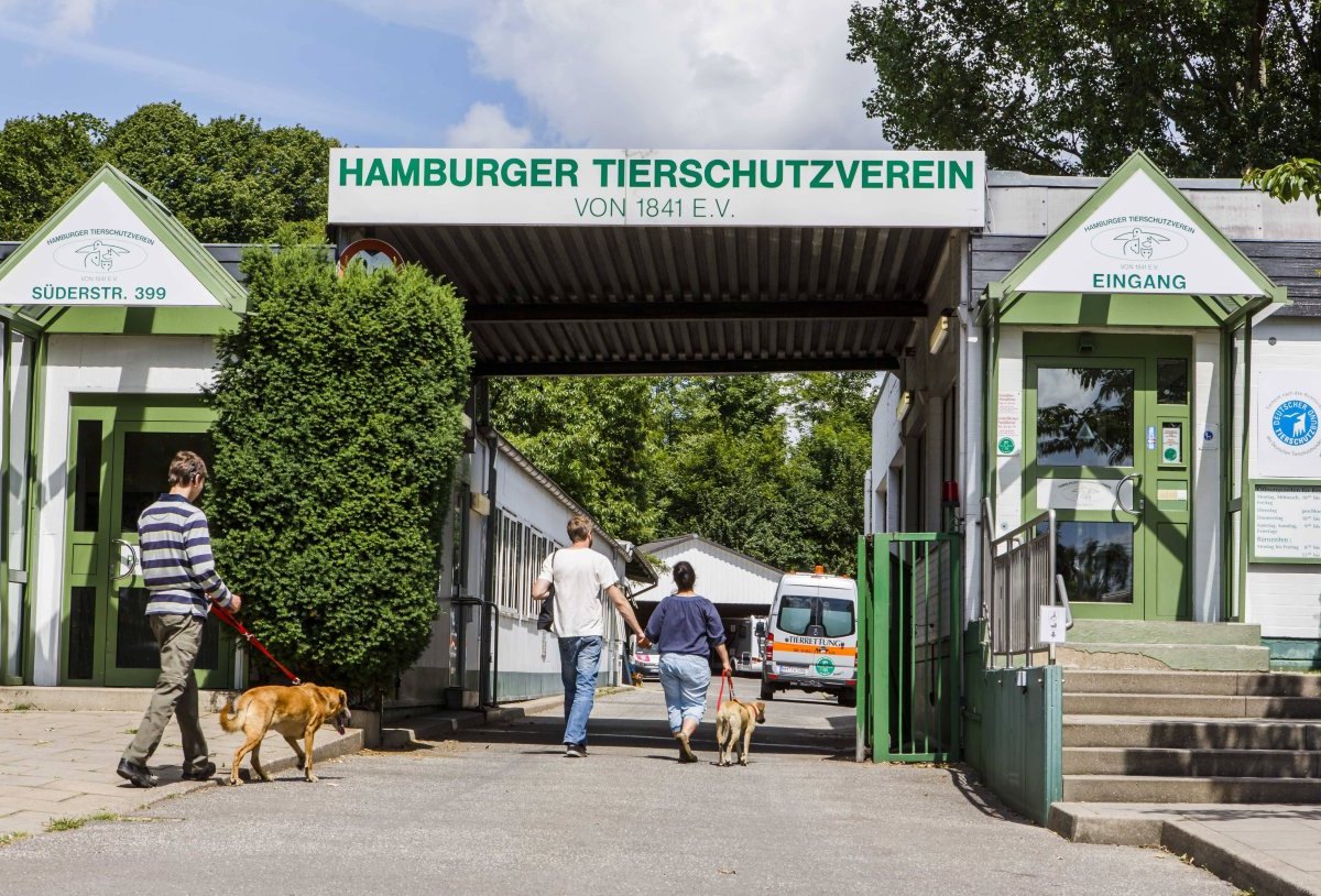 Tierschutzverein Hamburg.jpg