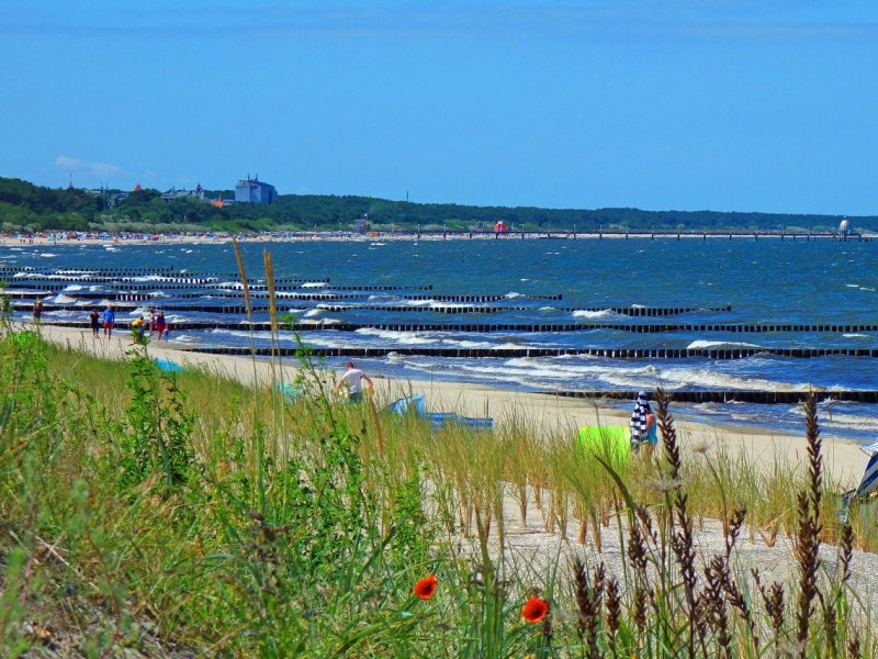 Usedom Rügen Ferienwohnung.jpg