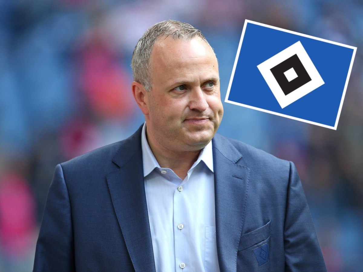 hamburger sv frank wettstein