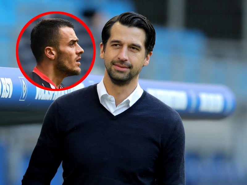 hamburger sv kostic