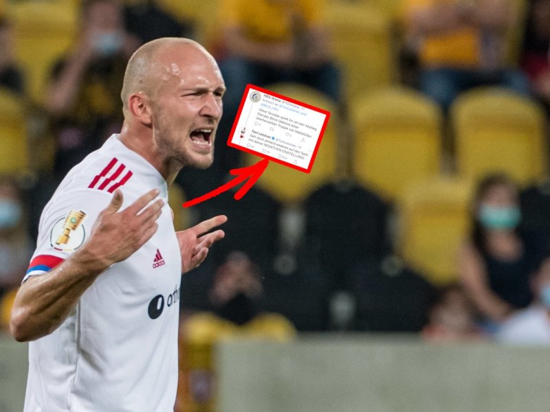 hamburger-sv-toni-leistner.jpg