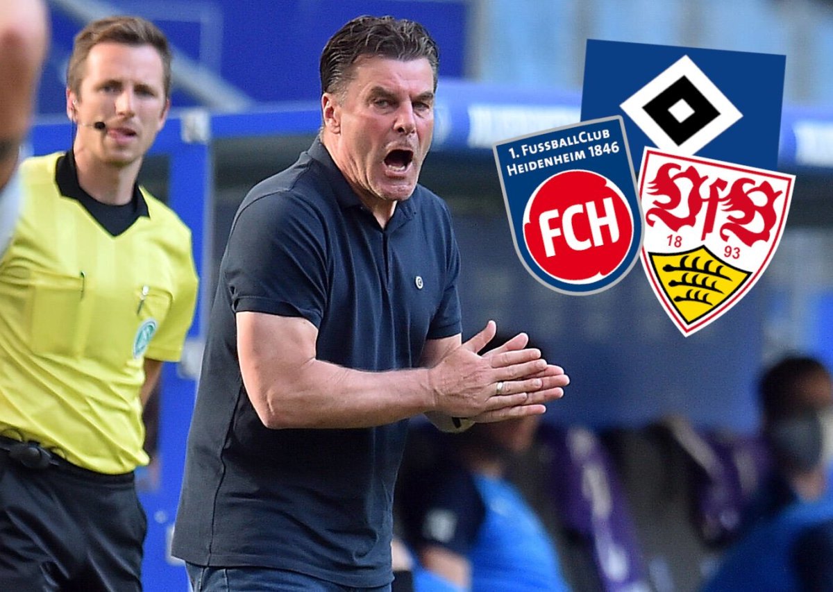 hsv-dieter-hecking