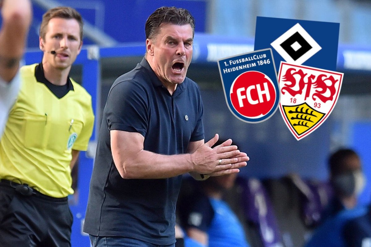 hsv-dieter-hecking