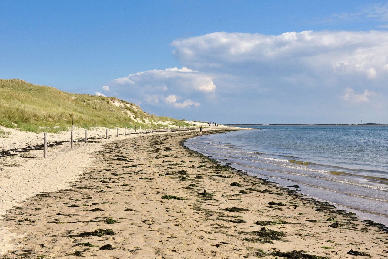 Die Familie plante eine Reise nach Amrum. 