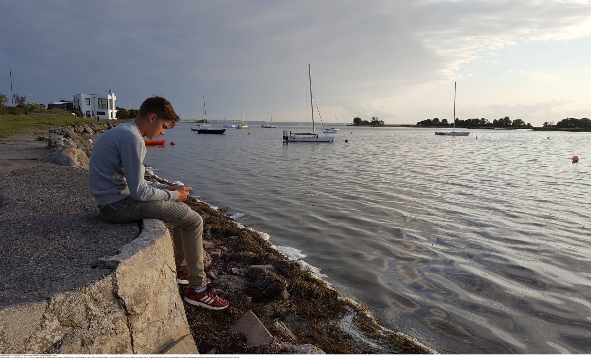 Fehmarn Ostsee Müll.jpg