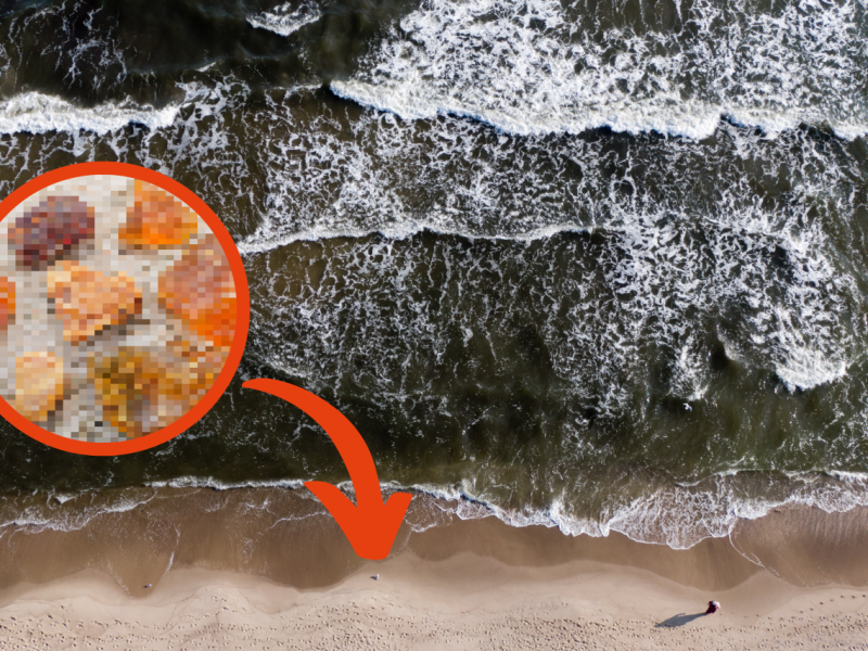 Fund Strand Ostsee.png