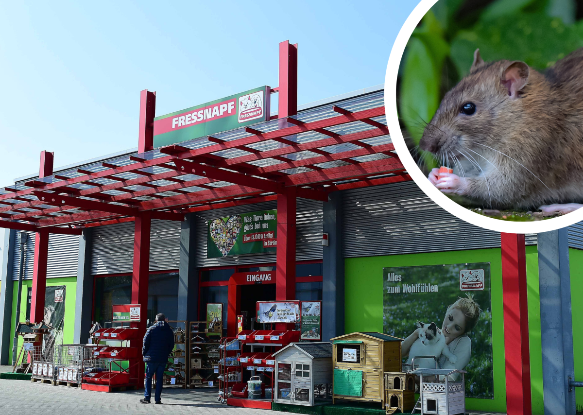 LÃ¼beck Tierschutz