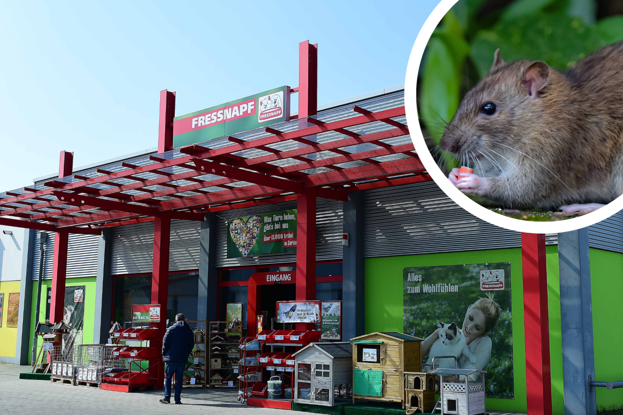 In Lübeck sind mehrere Tiere vor einem Geschäft ausgesetzt worden (Symbolbild). 