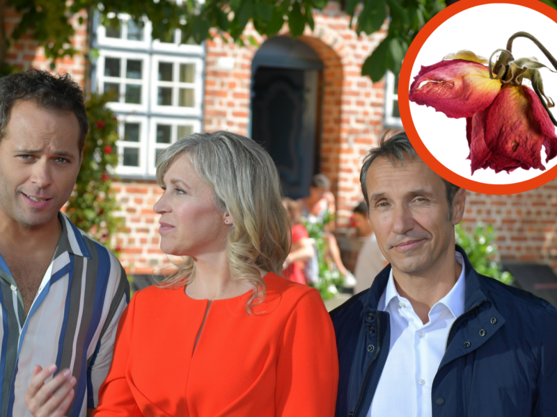 Rote Rosen.png