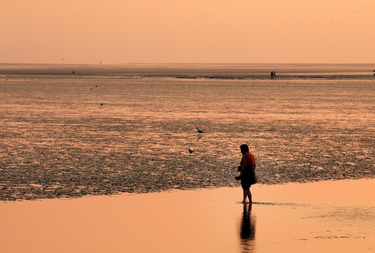 Watt Nordsee Büsum.jpg