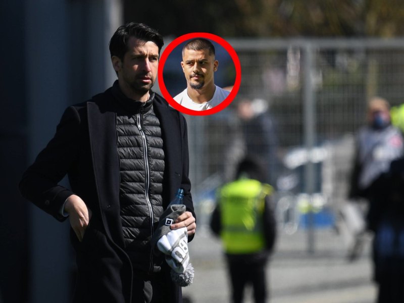 hamburger-sv-lion-semic-bvb.jpg