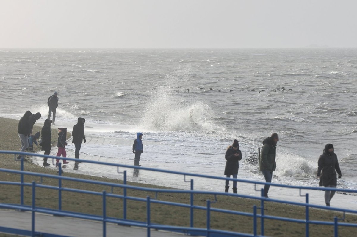 Nordsee.jpg