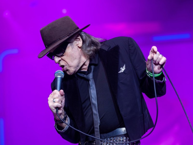 Udo Lindenberg.jpg