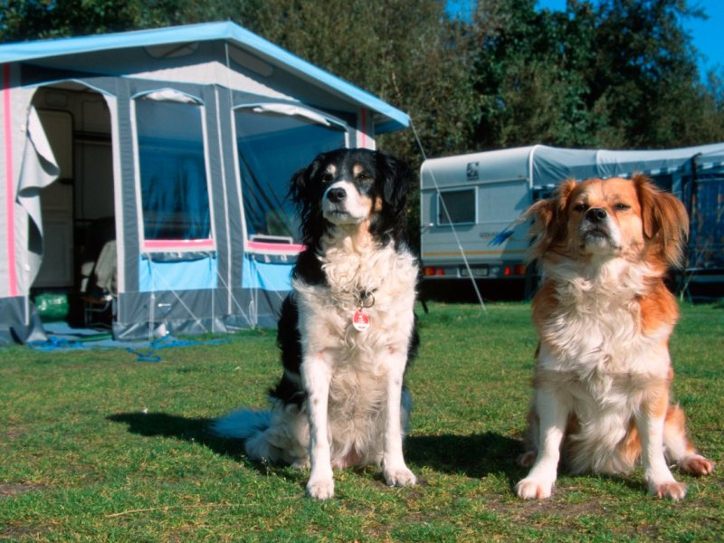 Camping