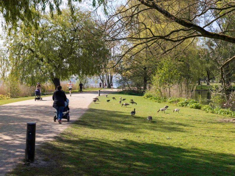 Hamburg.jpg
