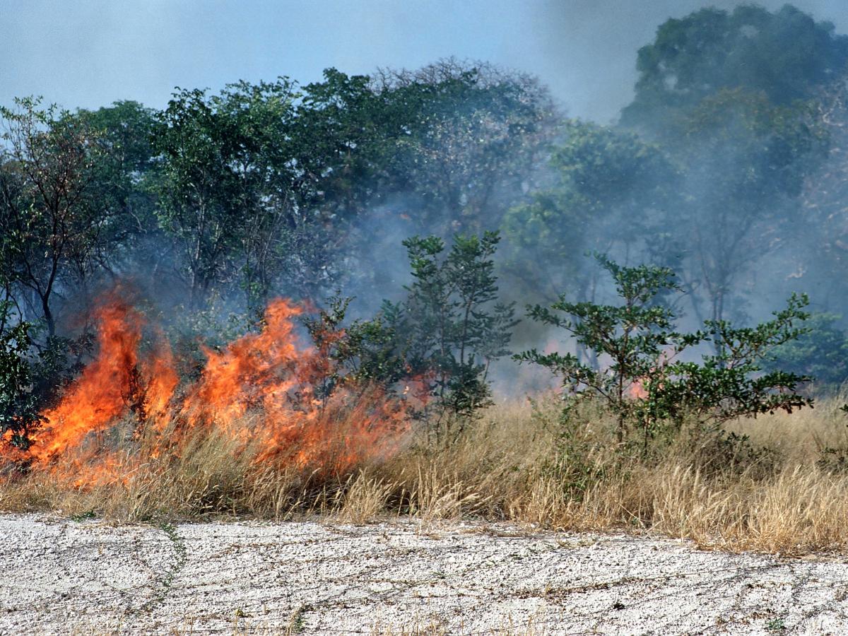 Usedom Brand