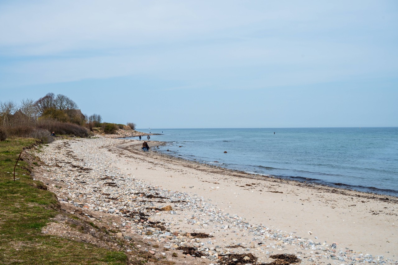 Ostsee: Der Hafen Lippe an der Hohwachter Bucht in Schleswig-Holstein.