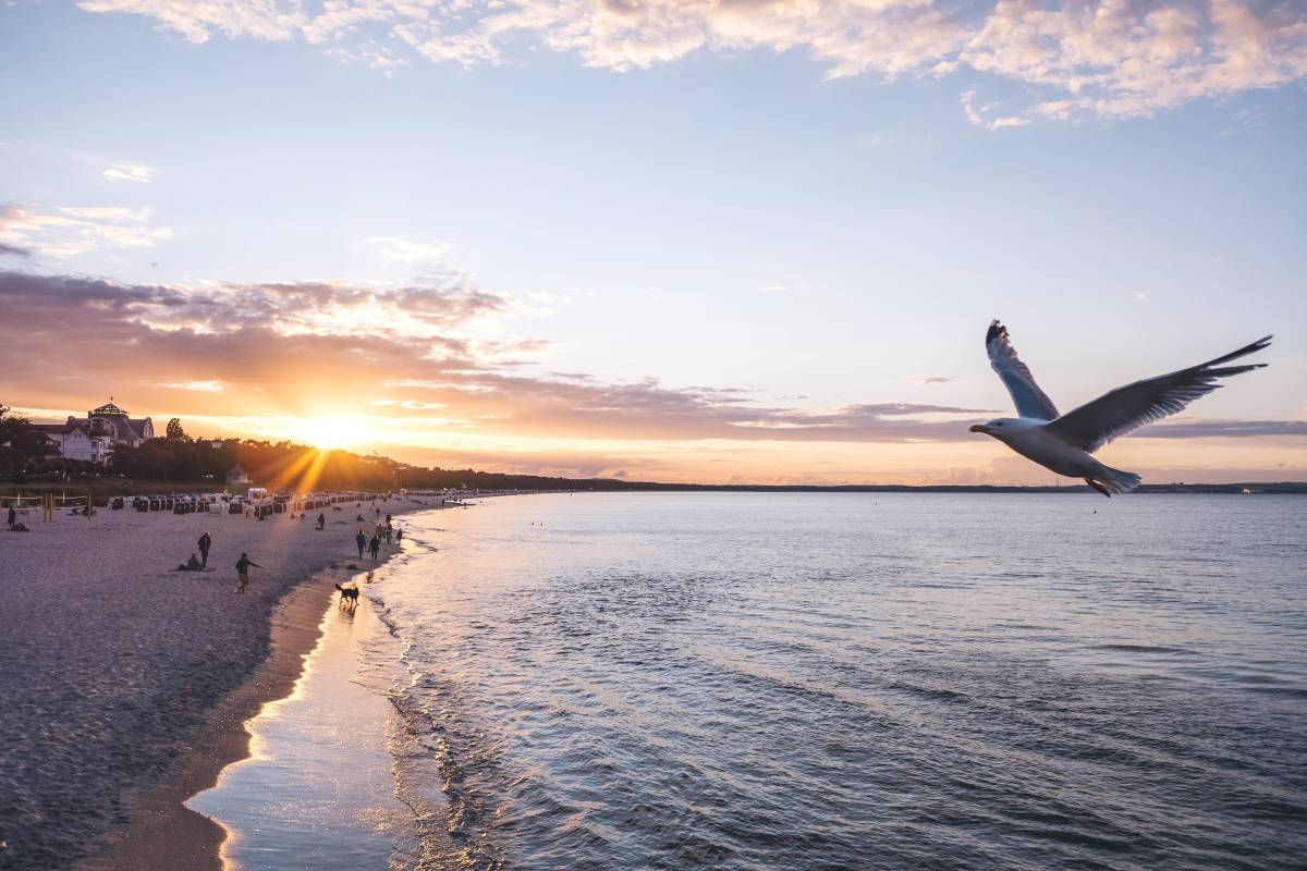 Rügen Sonnenuntergang