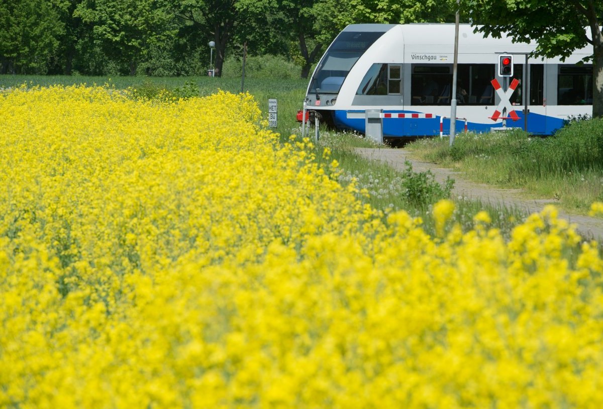 Usedom Bäderbahn.jpg