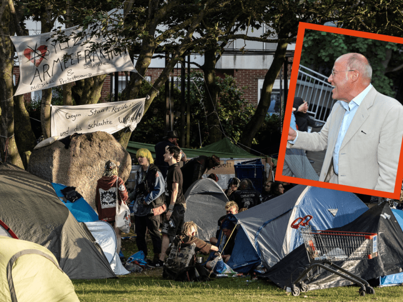 Punks auf Sylt, Gregor Gysi