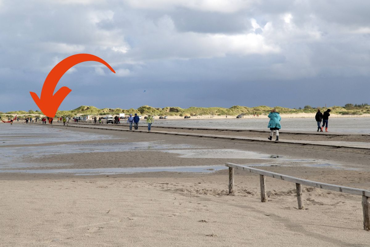 Steg am Strand von SPO