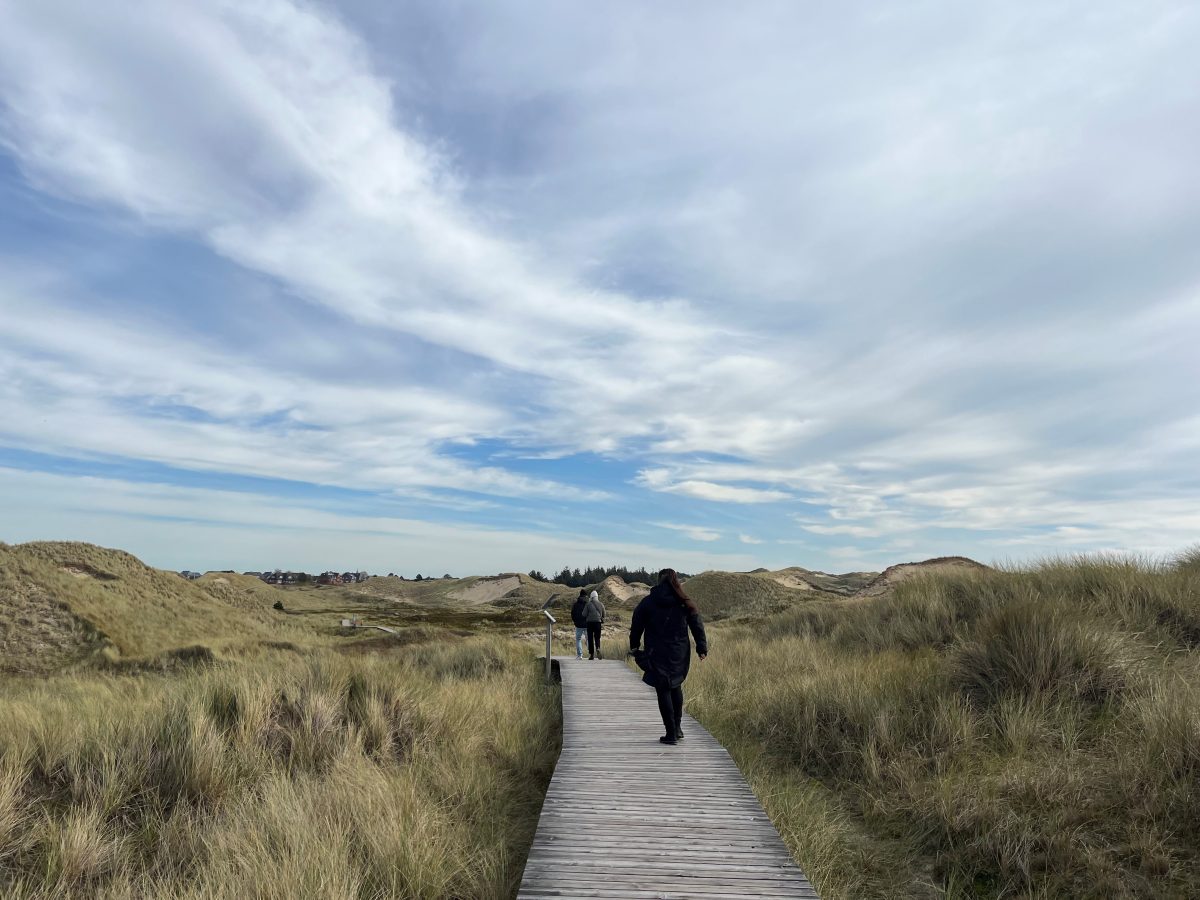 Amrum