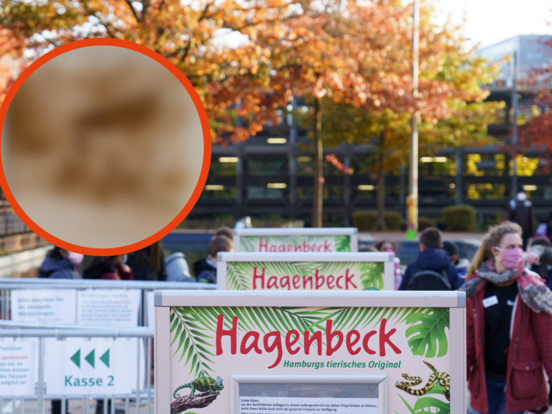 Tierpark Hagenbeck