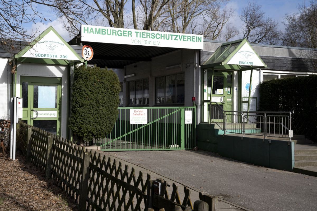 Tierheim Hamburg