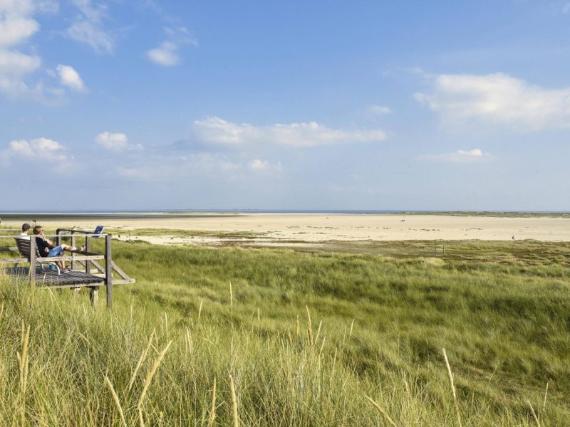 Amrum