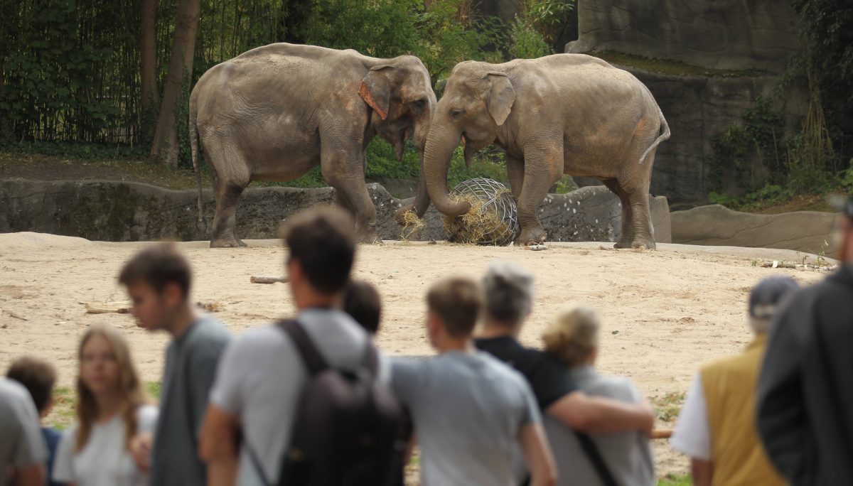 Tierpark Hagenbeck