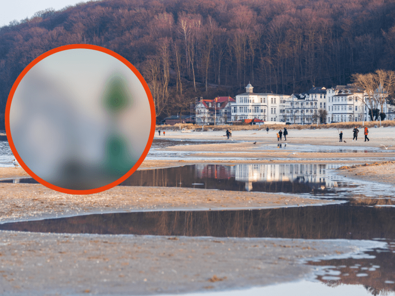 Rügen