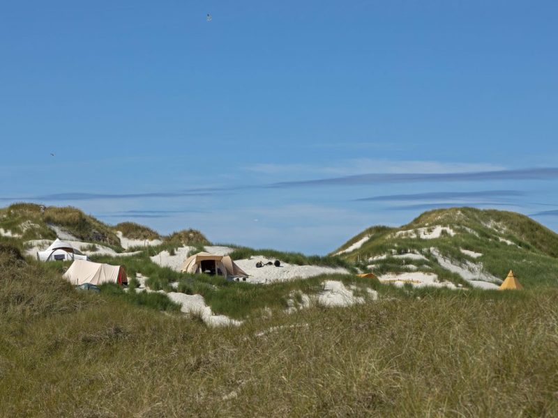 Amrum