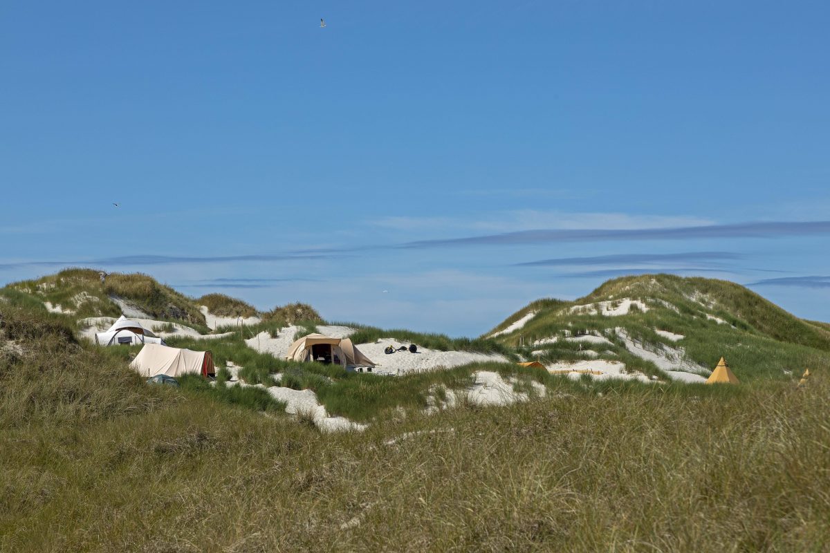 Amrum