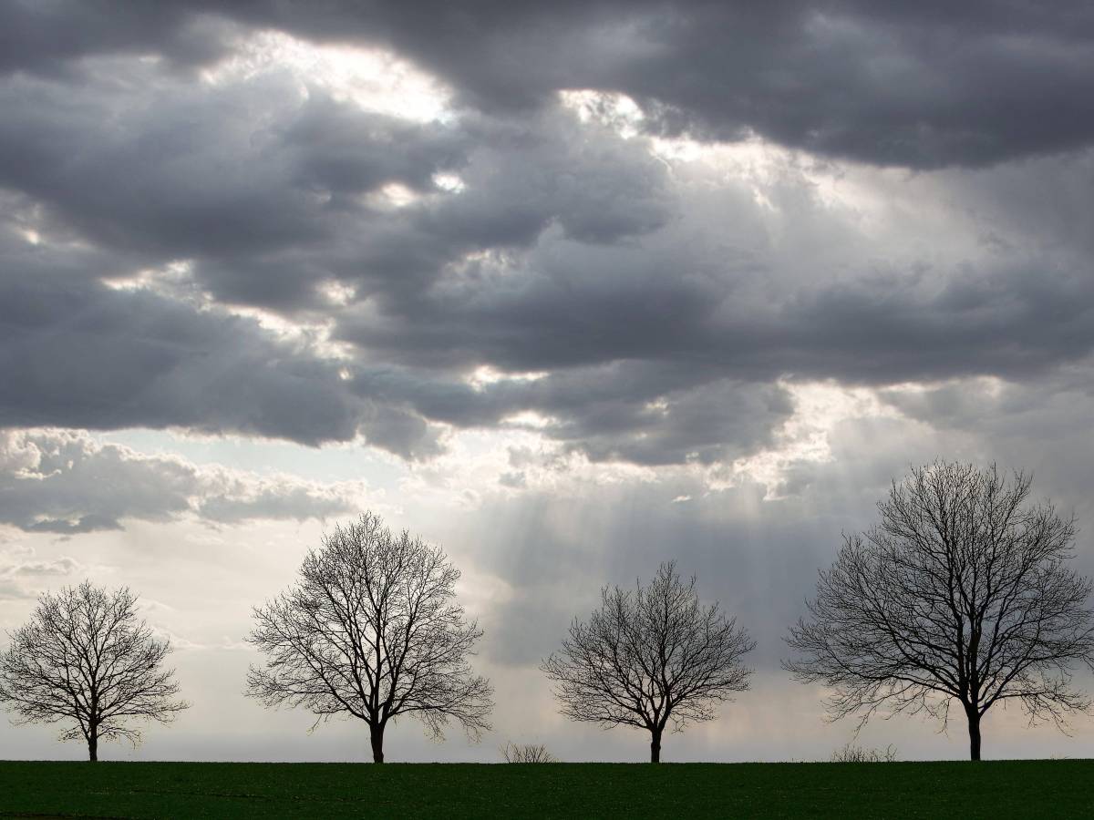 Wetter Schleswig-Holstein