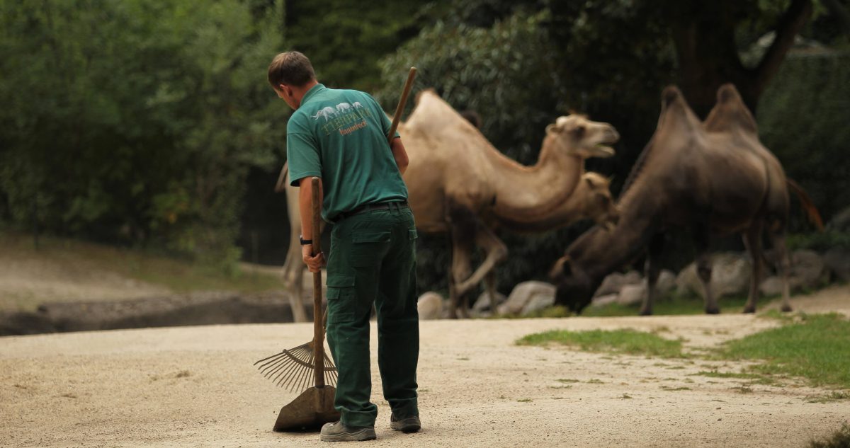 Tierpark Hagenbeck