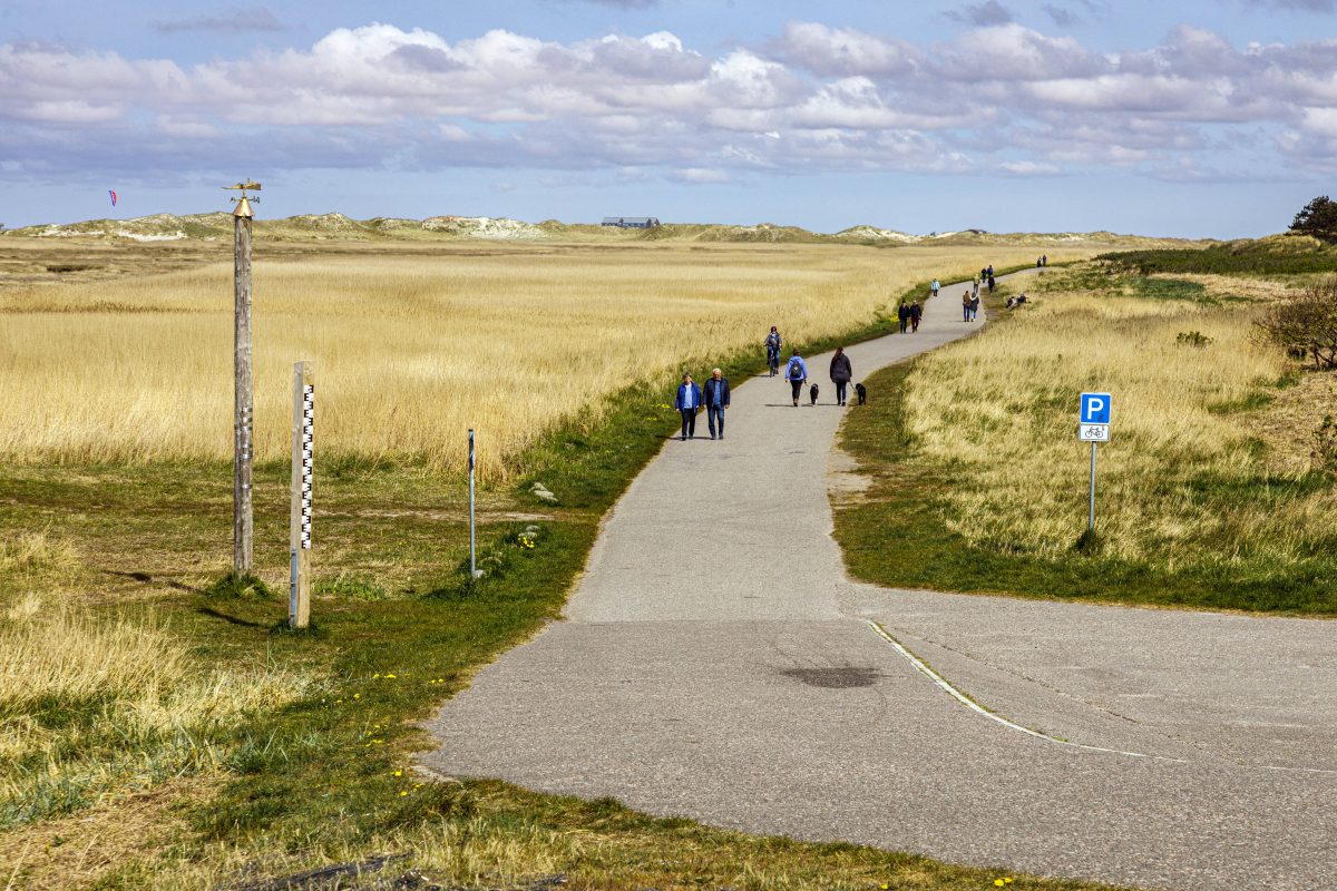 Dünenlandschaft in Sankt Peter-Ording