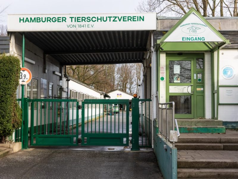 Tierheim Hamburg