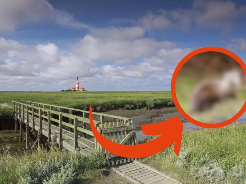 Nordsee