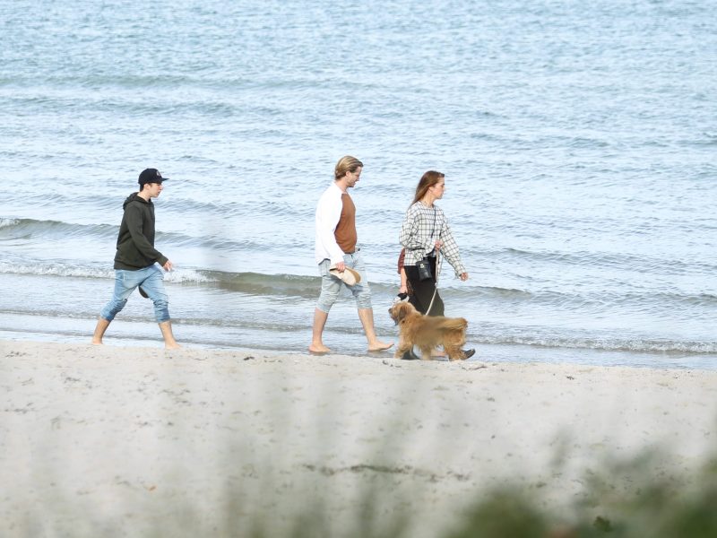 Ostsee Strand Hund