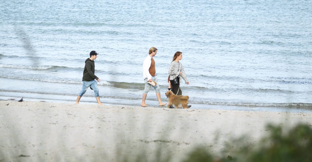 Ostsee Strand Hund