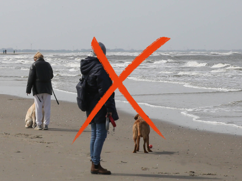 Ärger auf der Nordsee-Insel Langeoog.