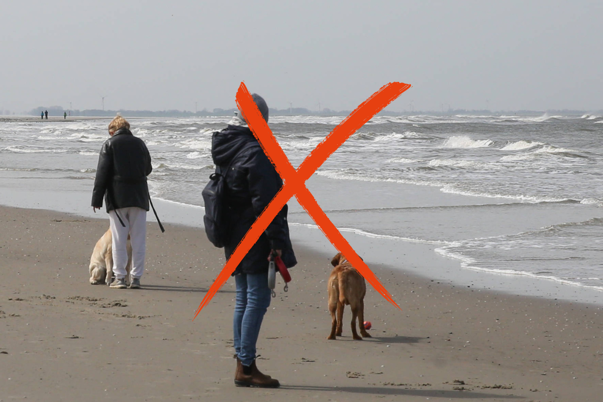 Ärger auf der Nordsee-Insel Langeoog.