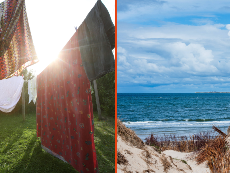 Sylt