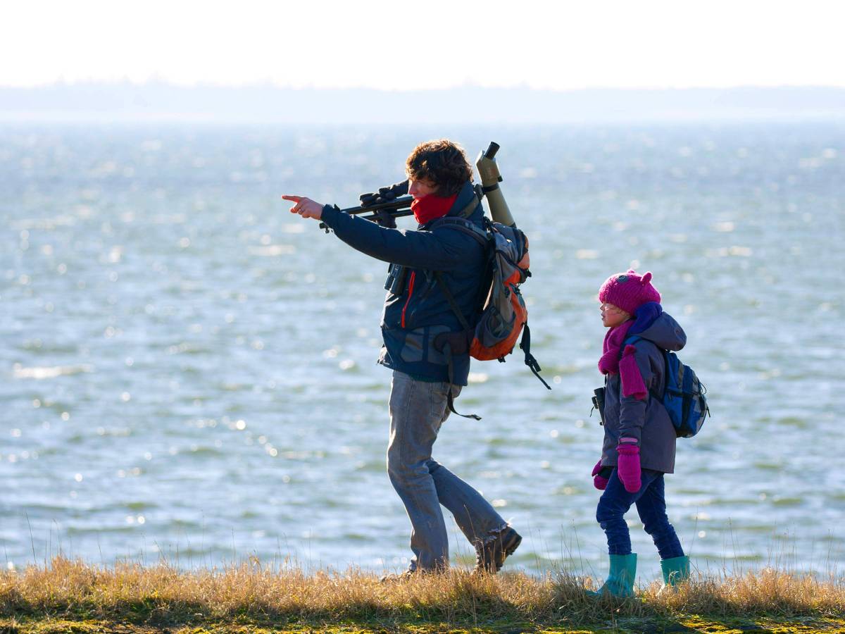 Ostsee Biber