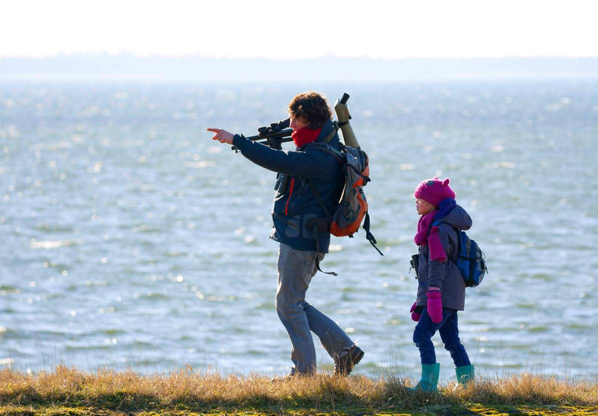 Ostsee Biber