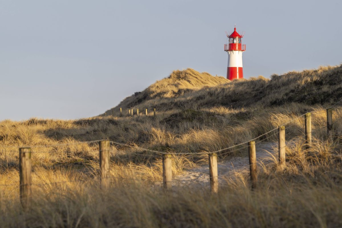 sylt