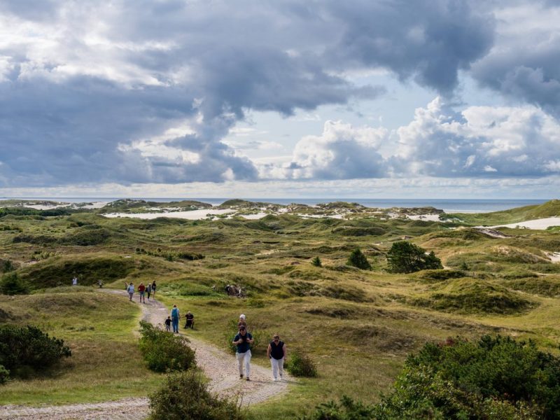 Auf Amrum kann man in den Dünen campen