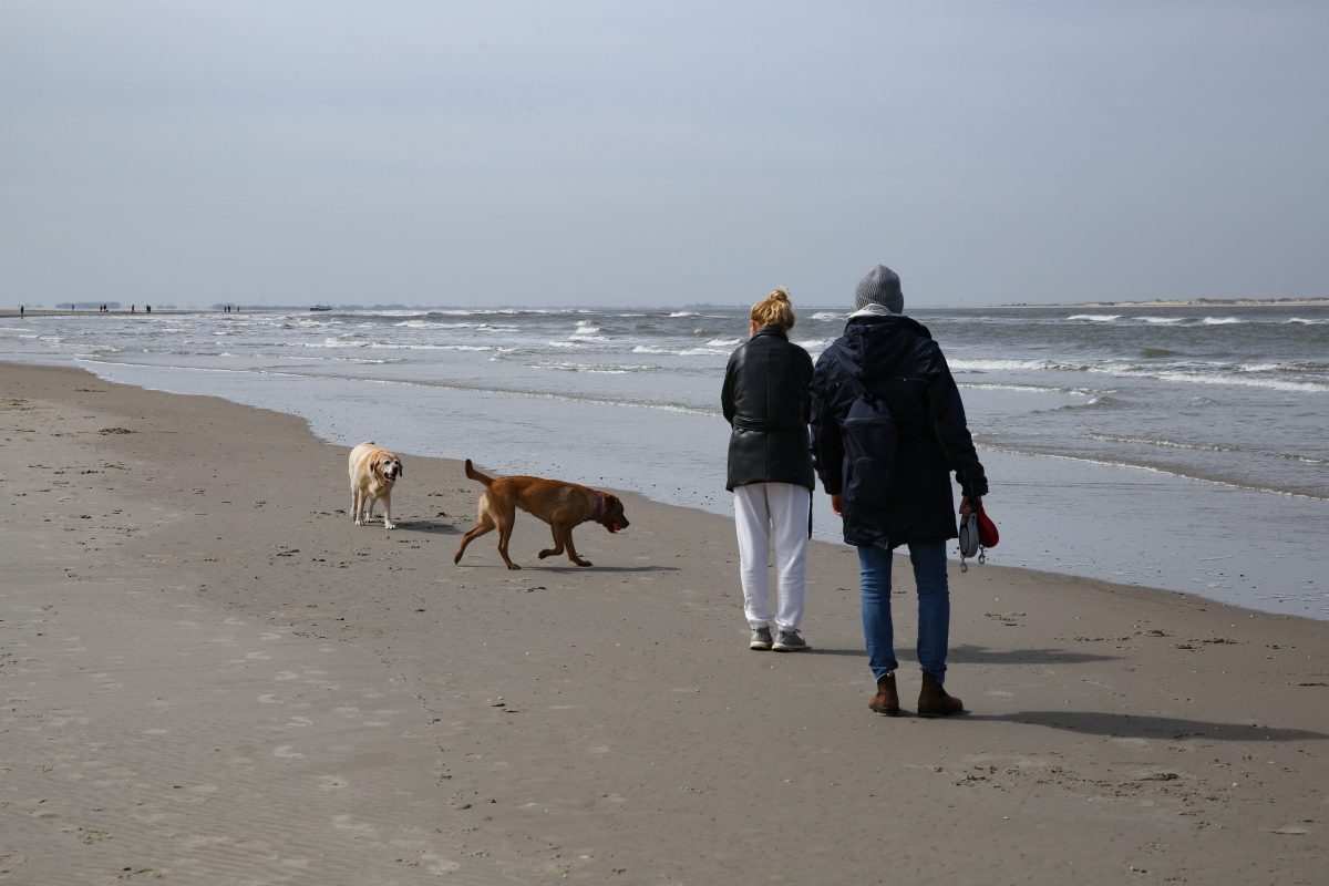 Nordsee