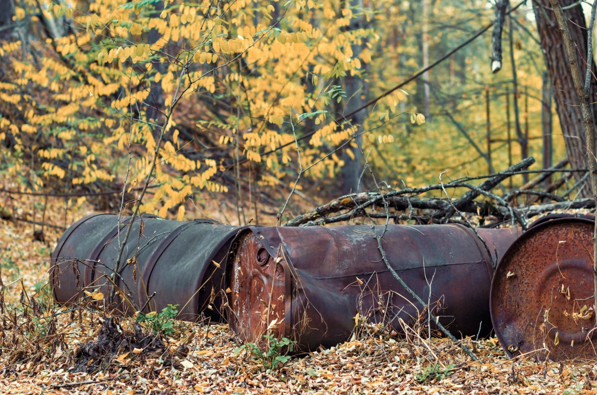 FÃ¤sser im Wald, Symbolbild